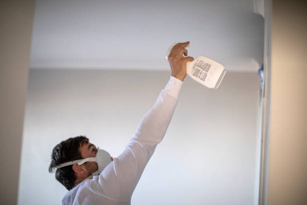 Best Best Mold Removal Companies  in Salem, WV