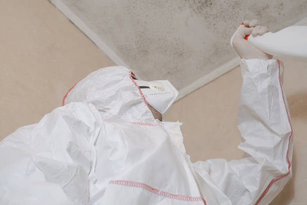 Best Crawl Space Mold Removal  in Salem, WV